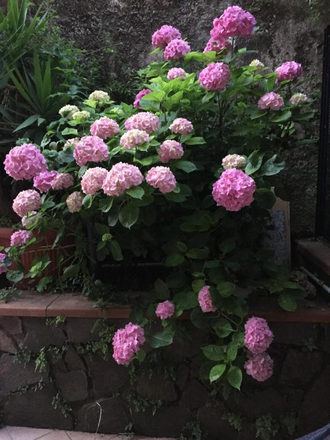 Divina Costa Salerno 아파트 외부 사진
